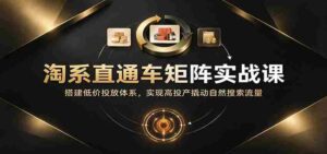 淘系直通车矩阵策略精讲:构建低成本投放框架,高效提升投资回报率并吸引自然搜索流量-中创网_分享创业项目_助您在家赚钱
