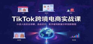 TikTok跨境电商实战课:小店入驻后台讲解,选品定价,新手破局数据分析回款教程-中创网_分享创业项目_助您在家赚钱
