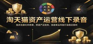 线下解析天猫资产运作:告别流量依赖,构建产品系列,巧妙避开单品风险,稳固盈利之路-中创网_分享创业项目_助您在家赚钱