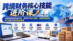 跨越财务难关,精通国际财税:深度解析建账到盈利,全面掌握出口退税、英欧税务、外汇操作及风险管控技巧-中创网_分享创业项目_助您在家赚钱