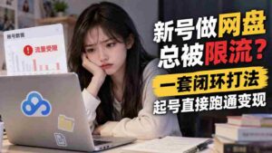 突破网盘限流困境,掌握高效闭环策略,轻松起号实现盈利-中创网_分享创业项目_助您在家赚钱