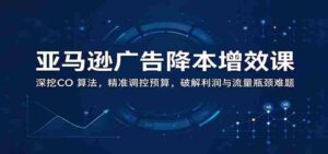 解锁亚马逊广告成本优化之道:深入剖析CO算法,精准预算调控,突破盈利与流量双重瓶颈-中创网_分享创业项目_助您在家赚钱