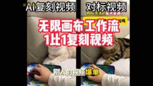 宠物直播带货新潮流:零成本制作,即点即用,快速打造专业短视频带货内容-中创网_分享创业项目_助您在家赚钱