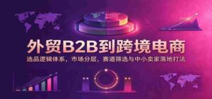 从传统B2B到跨境新纪元:挖掘选品核心,细分市场格局,精准赛道识别及中小商家实战攻略-中创网_分享创业项目_助您在家赚钱