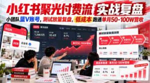 小红书聚光付费流实战复盘|小团队蓝V账号,测试放量复盘,低成本跑通单月50‑100W营收【文档】-中创网_分享创业项目_助您在家赚钱